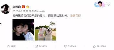 娱乐圈吃瓜张翰微博,张翰微博吃瓜大揭秘